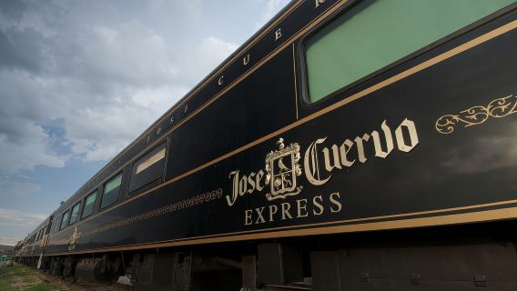 From Guadalajara: La Rojeña Distillery & Jose Cuervo Train