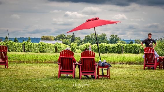 Niagara Falls, Canada: Escarpment Boutique Wine Tour