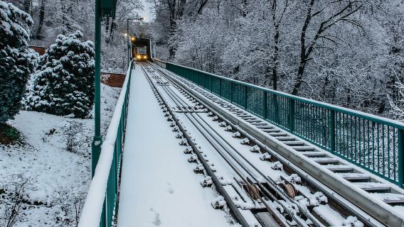 Tour privato salta fila della Torre di Petrin a Praga con biglietti