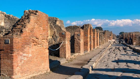 Desde Nápoles: Visita guiada sin colas a Pompeya