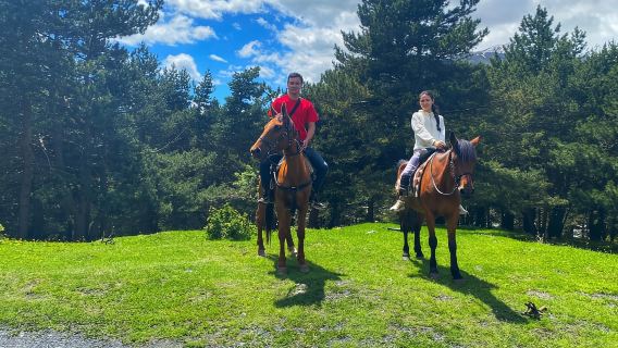 Cavalca fino alla chiesa della Trinità di Gergeti e raggiungi la cima di una montagna