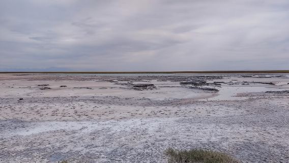 Lagun Cejar - Lawatan : San Pedro de Atacama - Chile