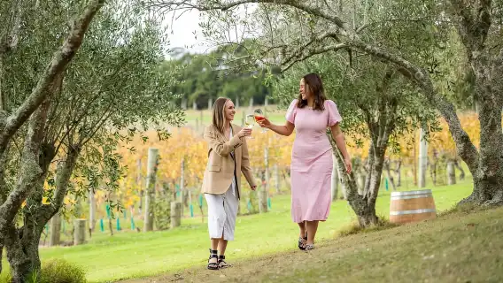 จากโอ๊คแลนด์: ตั๋วเรือเฟอร์รี่ด่วนไปกลับเกาะไวเฮเกะ