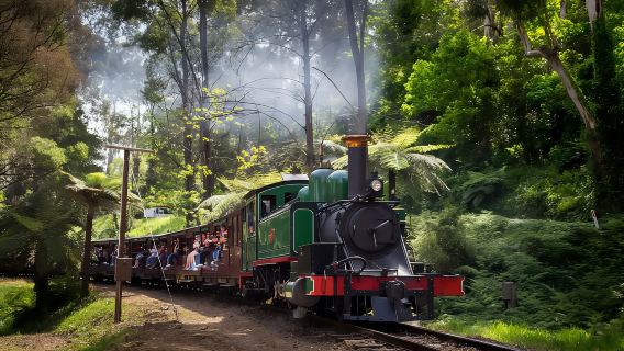 Ticket Included + Designated Pick-up│Puffing Billy Railway Rainforest Tour in Melbourne