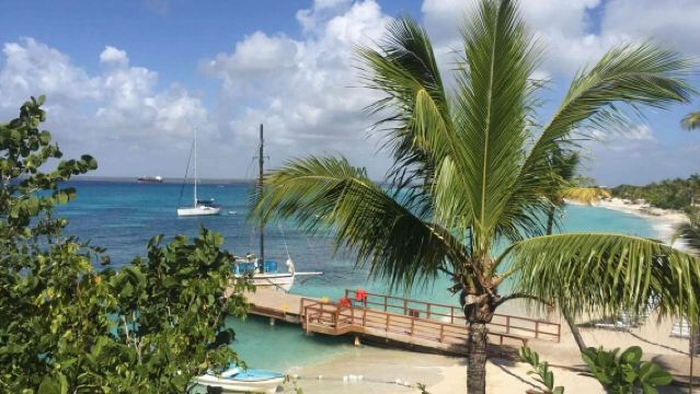 Diving adventure at Catalina Island