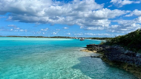 Bahamas Nassau: 1-day Tour to Exuma Island with Famous Swimming Pigs