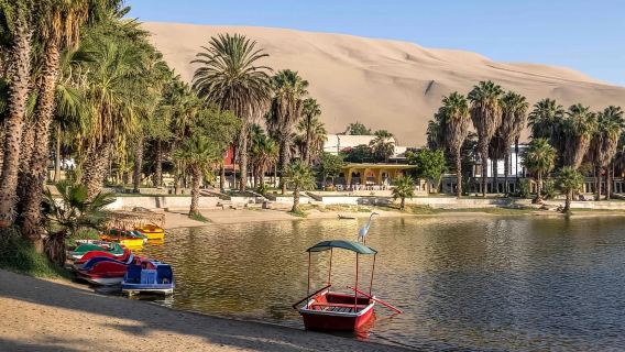 Excursion à la journée complète à Huacachina et Paracas
