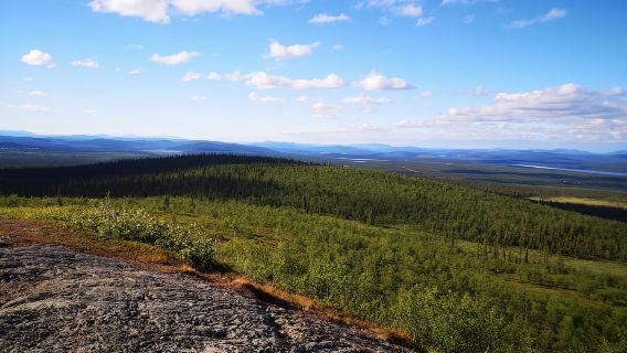 Kiruna: Hiking tour in Kurravaara