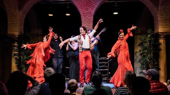 Seville: Puro Flamenco Show - Museo del Baile Flamenco