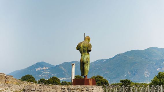 Mount Vesuvius & Pompeii Archaeological Park Day Tour with Skip-the-Line Access & Lunch Included
