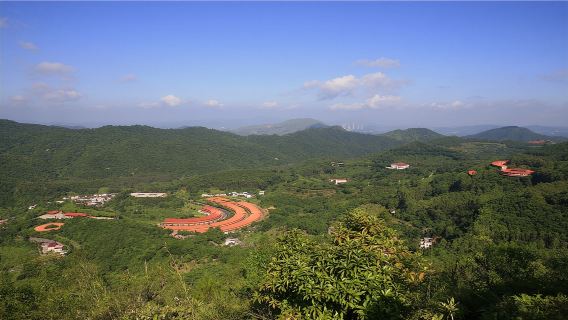 Meizhou Private Guided One-Day Tour Ye Jianying’s Former Residence Yannanfei Tea Field Scenic Area Hakka Town in Hakka Town