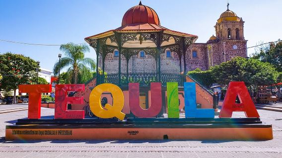 full day Tequila tour visiting artisanal distillery and downtown.