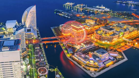 Visite nocturne d'une journée des souvenirs de jeunesse de Kamakura, d'Enoshima et de l'entrepôt en briques rouges de Yokohama, y compris l'expérience du chemin de fer électrique d'Enoden