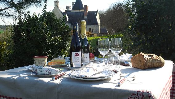 Picnic in the Vines - A Unique Loire Wine Experience