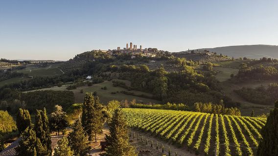5 Wine Tastings in San Gimignano