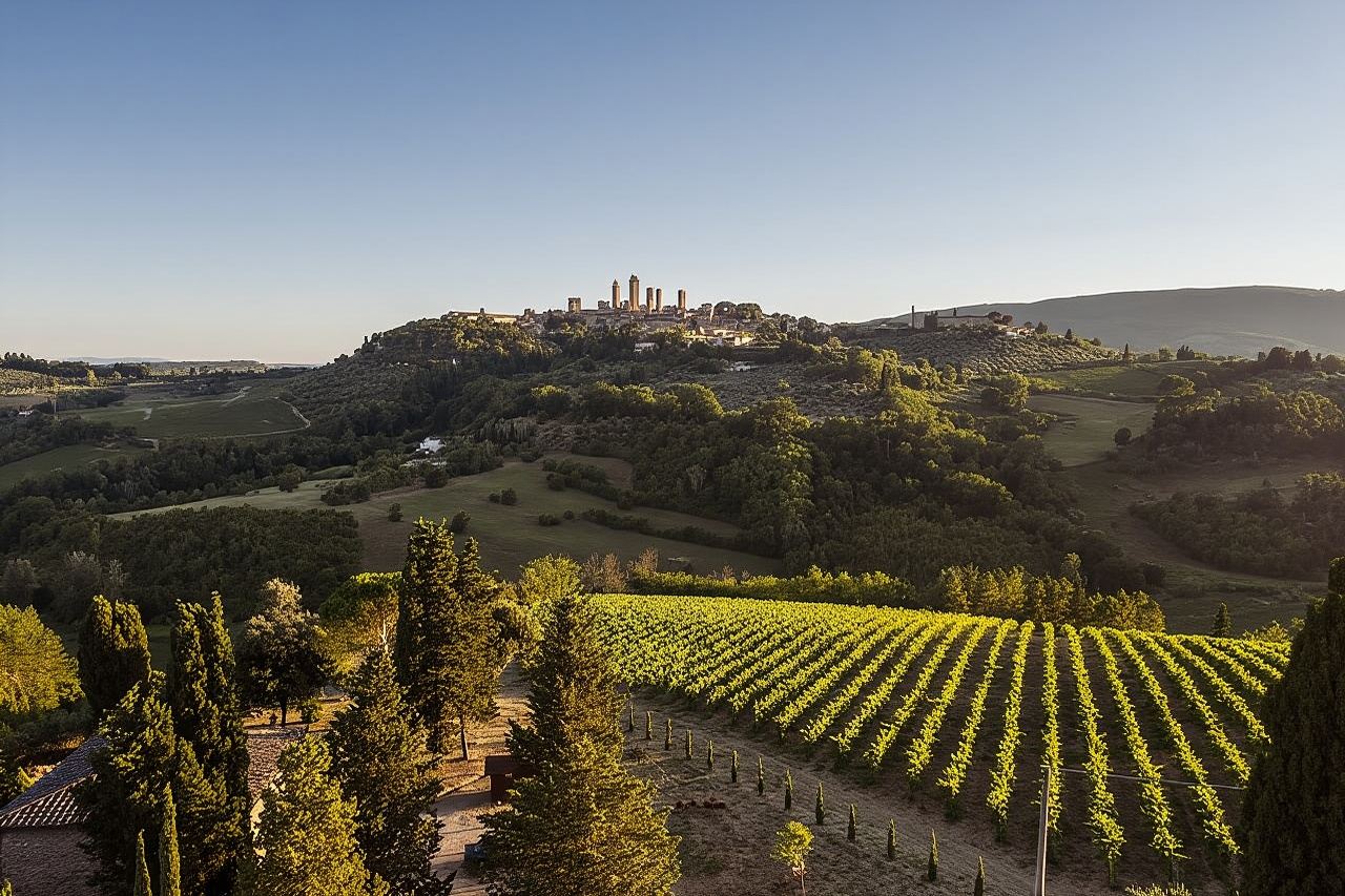 5 Degustazioni di Vino a San Gimignano
