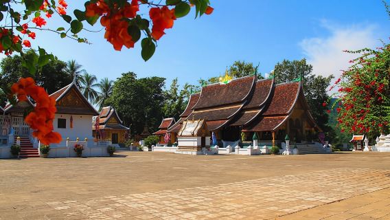 Luang PrabangExperiences