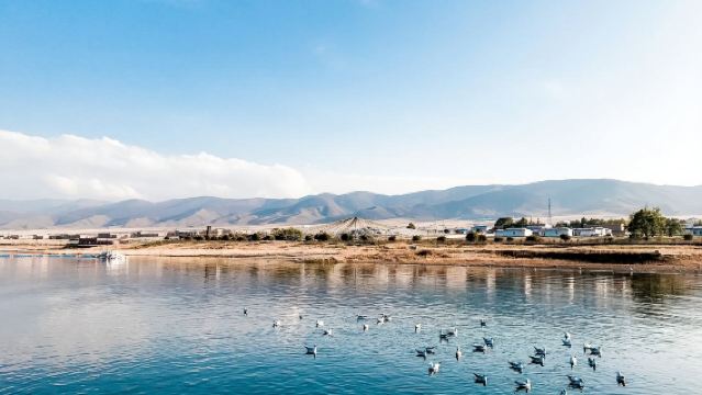 【觀萬雲歸海】青海湖+同寶山+金銀灘+金銀灘原子城景區爆破基地包車遊