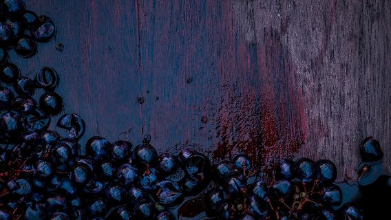 Chuyến tham quan rượu vang Willamette từ Newberg (Đã bao gồm phí nếm thử)