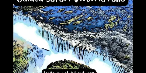 薩凡納導賞團:辛巴威側瀑布野生動物遊獵之旅