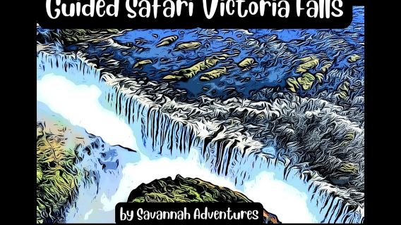Chuyến tham quan có hướng dẫn viên đến Thác nước (phía ZIM) Safari động vật hoang dã, do Savannah tổ chức