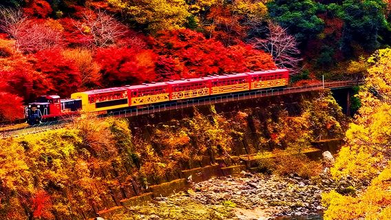 KyotoTours