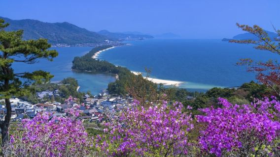 日本大阪-和歌山城-白濱町冒險大世界【中文專車-舒適純淨】