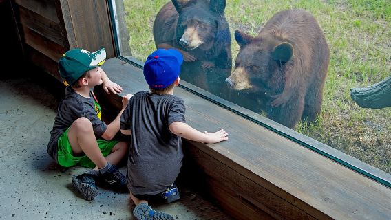 บัตรเข้าชมสวนสัตว์ไมอามี่ พร้อมตัวเลือกอัปเกรด