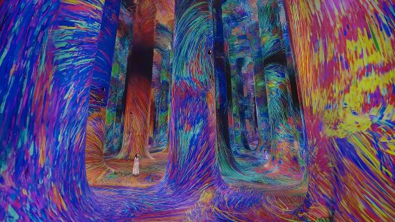 Teamlab Phenomenon Abu Dhabi (go on your own)