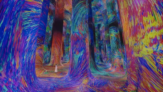 Fenómeno Teamlab Abu Dhabi (viaje por cuenta propia)