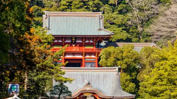 鶴岡八幡宮+鎌倉小町通+長谷寺+鎌倉大佛+江之島一日遊