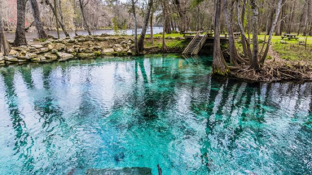 St. Johns River Cruise - Blue Spring State Park