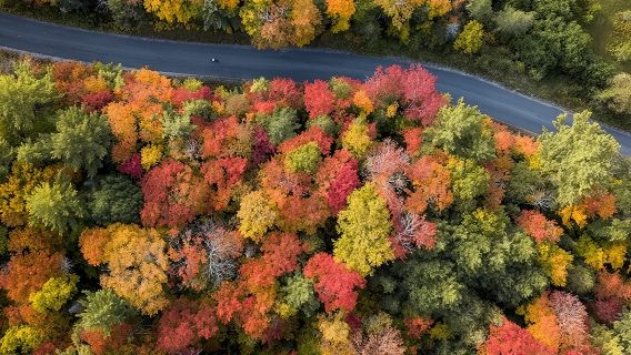 Muskoka LakesTours