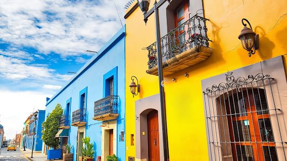 Guided Tour of Oaxaca City's Historic Sites and Local Market