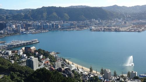 Discover Wellington 3 hour City Tour Day Tours