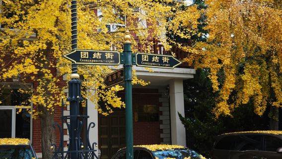 Sóng & Bến tàu: Tour thư giãn 1 ngày tại Đại Liên