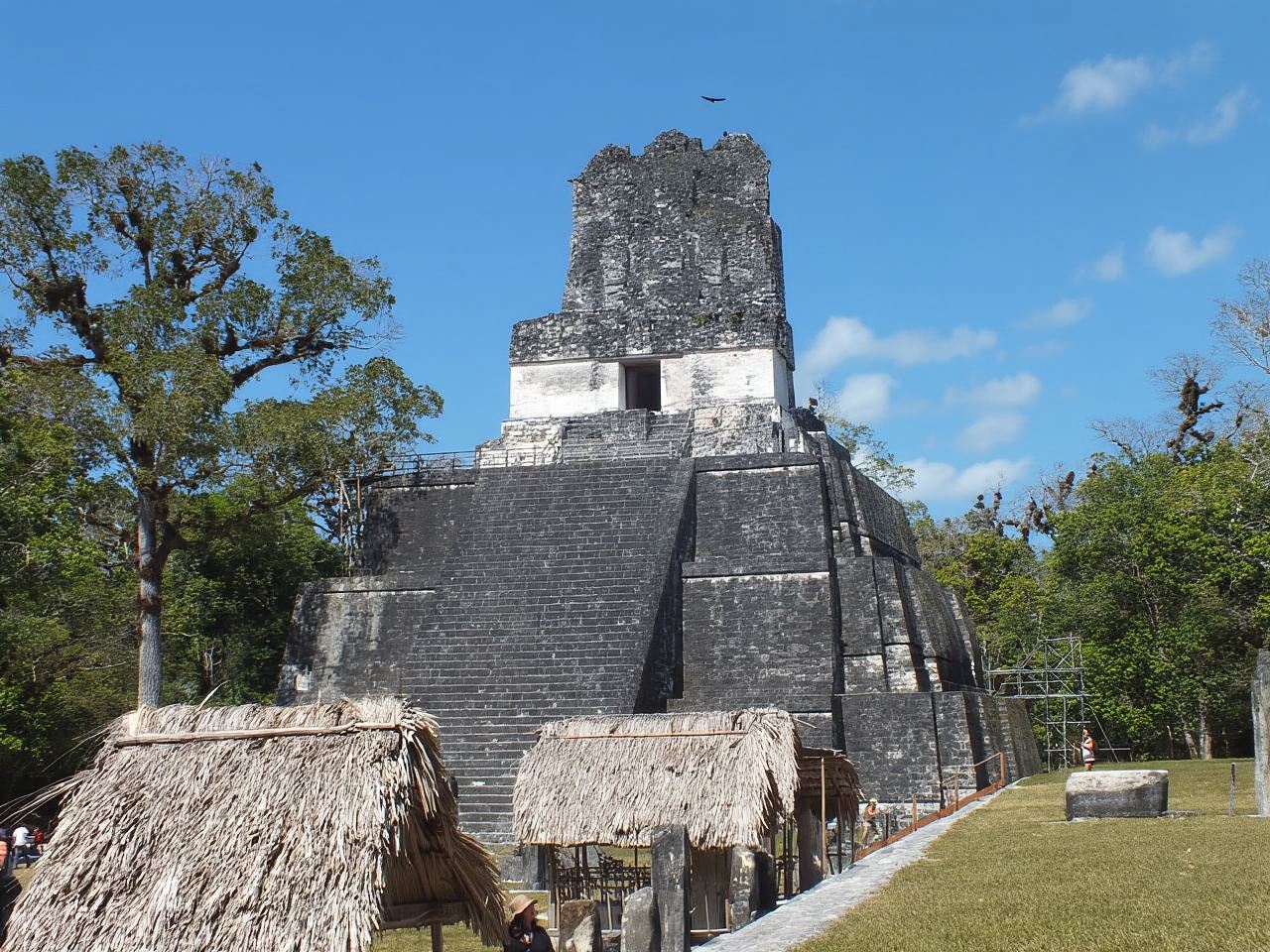 จากฟลอเรส: ทัวร์ชมซากปรักหักพังติกัลพร้อมไกด์