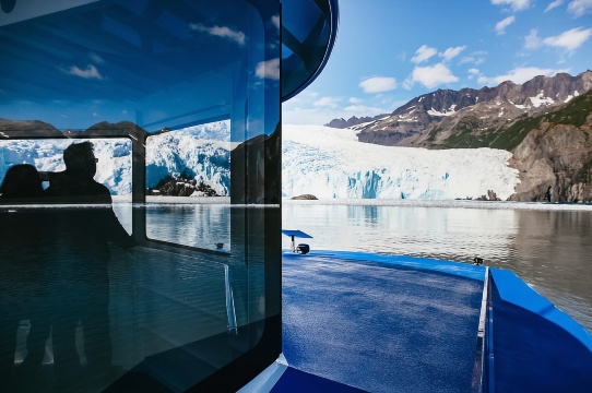 Seward: Kenai Fjords National Park Glacier Cruise w/ Lunch