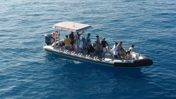 Maui: Guided Whale Watching Tour on Eco Raft