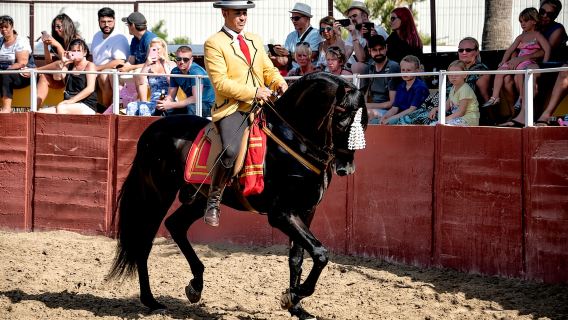 Fuengirola: Espectáculo de caballos españoles con cena/flamenco opcional