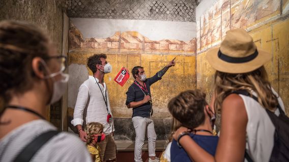 Desde Sorrento: tour de medio día sin colas a Pompeya