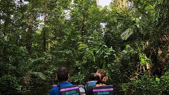 Tortuguero: Tour chèo thuyền độc mộc khám phá rừng Amazon của Costa Rica.