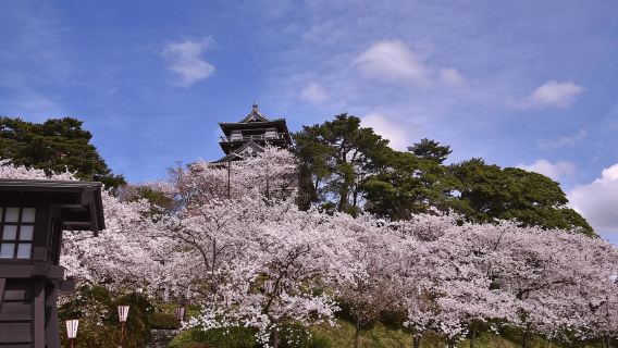 Fukui: biglietto d'ingresso al castello di Maruoka