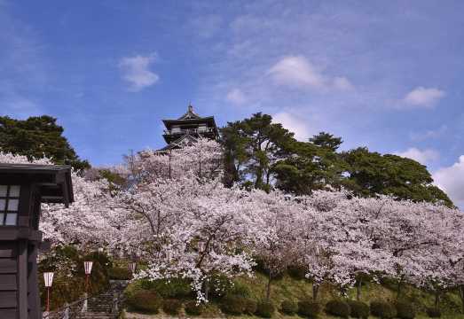 Fukui: Maruoka Castle Admission Ticket