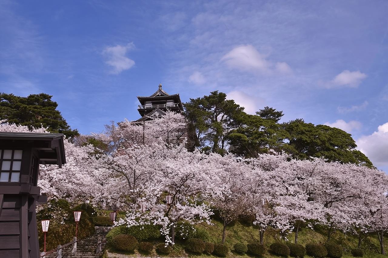 福井：丸岡城入場チケット