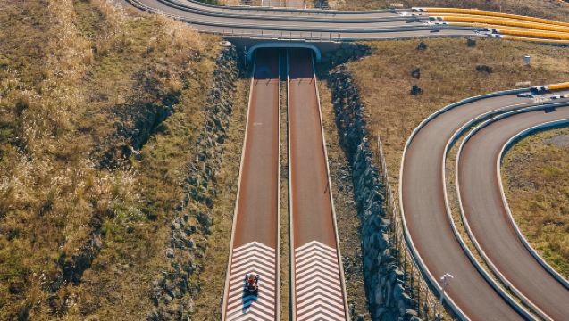 [Jeju Island Racing Experience] 9.81 Park Jeju + Hello Kitty Island + Aewol-eup