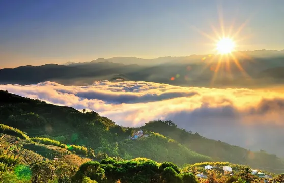 2026 阿里山花季預約套票︱61K疏運轉乘專車x阿里山國家森林遊樂區入園門票