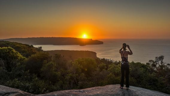 Panoramic Sydney Sights