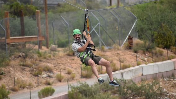Camp Verde: Geführte Zipline-Tour mit Raubtieren