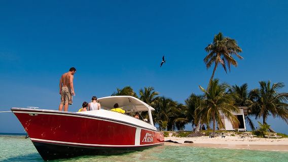 Snorkel the Perfect Tropical Isle Silk Caye with Turtles, Rays and Sharks